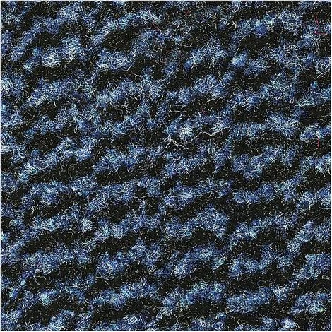 CERTEO Tapis De Propreté Pour L'intérieur à Fibres En Polypropylène - L X L 1500 X 900 Mm, Lot De 1 - Noir / Bleu - Coloris: Bleu 3 CERTEO Tapis De Propreté Pour L'intérieur à Fibres En Polypropylène - L X L 1500 X 900 Mm, Lot De 1 - Noir / Bleu - Coloris: Bleu – Image 3