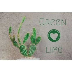 NOVOTEX Tapis Intérieur Green Life 40X60CM