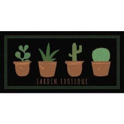 NOVOTEX Tapis Intérieur Kaktea 50X100CM