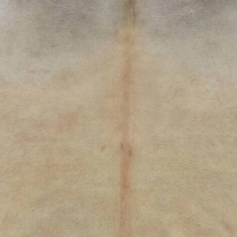 VidaXL Tapis En Peau De Vache Véritable 150 X 170 Cm Beige - Beige 3 VidaXL Tapis En Peau De Vache Véritable 150 X 170 Cm Beige - Beige – Image 3