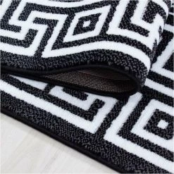 ALLOTAPIS Tapis Rectangle Pour Salon Baroque à Mèches Courtes Stessy Noir 160x230 - Noir 8 ALLOTAPIS Tapis Rectangle Pour Salon Baroque à Mèches Courtes Stessy Noir 160x230 - Noir -Tapis et paillasson Soldes 16256412 4