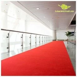 MADEINNATURE Tapis De Passage Rouge Petite & Grandes Longueurs/ Tapis De Décoration, Idéal Pour Magasin, événements Et Fêtes, Cinéma, église - Rouge - 1x2m.