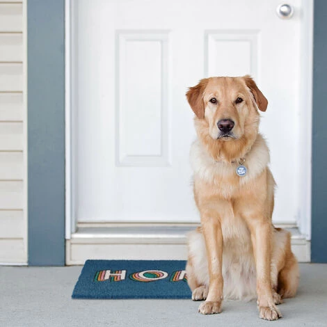 Relaxdays Paillasson Coco, Tapis D’entrée «HOME», Antidérapant, Moderne, Intérieur & Extérieur, 40x60 Cm, Bleu 4 Relaxdays Paillasson Coco, Tapis D’entrée «HOME», Antidérapant, Moderne, Intérieur & Extérieur, 40x60 Cm, Bleu – Image 4