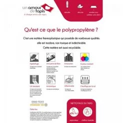 UNAMOURDETAPIS Tapis Orient Style 80x300 Cm Rectangulaire KHY FALAN Violet Couloir Adapté Au Chauffage Par Le Sol - Violet -Tapis et paillasson Soldes 31807374 5