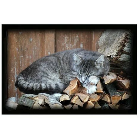 Tapis Velvet Cat 45x75 - MERCURY 1 Tapis Velvet Cat 45x75 - MERCURY