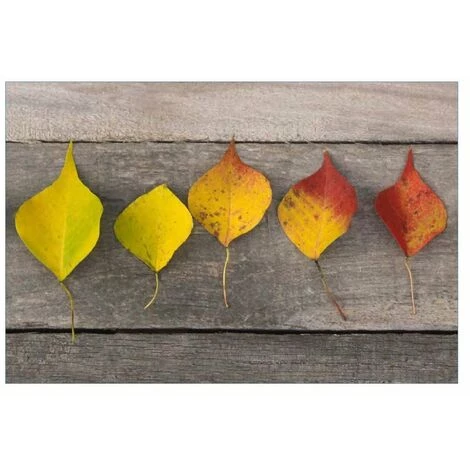 Tapis Velvet Leafs 45x75cm Sur Cintre - MERCURY 1 Tapis Velvet Leafs 45x75cm Sur Cintre - MERCURY