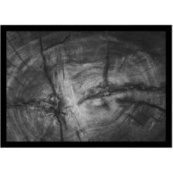 AUTRES Tapis Tree Trunk Anthracite 50x70cm - VICA