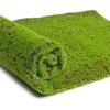 BRIDAY Tapis De Mousse Artificielle Fausse Herbe Gazon Plantes De Pelouse Lichen Pour La Maison Jardin Patio Décoration De Bricolage (Point De Café)