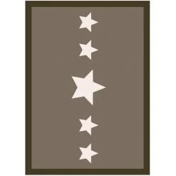 AUTRES Tapis 5 Star Beige 50x70cm Sur Cintre - VICA