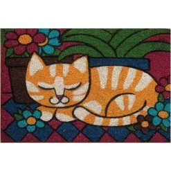 Baroni Home Paillasson Extérieur Coco, Revêtement De L'envers En PVC, Peint à La Main, Solide Et Nettoyage Facile, 60X40X2 Cm – Tapis à Motif Chat Tigré Dormant