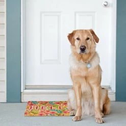 Relaxdays Paillasson Coco, Inscription Hello & Motif Floral, Tapis D’entrée Intérieur & Extérieur, 40x60cm Cm, Coloré -Tapis et paillasson Soldes 41305783 4