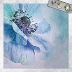 BILDERWELTEN Tapis En Vinyle - Flower In Turquoise - Carré 1:1 Dimension HxL: 80cm X 80cm