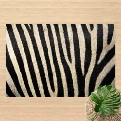 BILDERWELTEN Tapis En Vinyle - Zebra Skin - Paysage 2:3 Dimension HxL: 40cm X 60cm