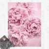 BILDERWELTEN Tapis En Vinyle - Pink Peonies - Portrait 4:3 Dimension HxL: 60cm X 45cm