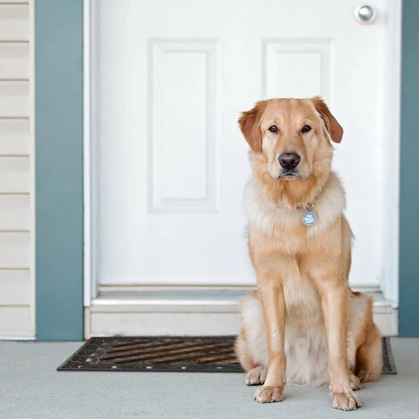 Relaxdays Paillasson En Fonte Avec Brosse Essuie-pieds Tapis D'entrée En Fonte Ovale "WELCOME" H X L X P: 4 X 65 X 37 Cm Style Maison De Campagne Ancien Anti-dérapant, Bronze 5 Relaxdays Paillasson En Fonte Avec Brosse Essuie-pieds Tapis D'entrée En Fonte Ovale "WELCOME" H X L X P: 4 X 65 X 37 Cm Style Maison De Campagne Ancien Anti-dérapant, Bronze – Image 5