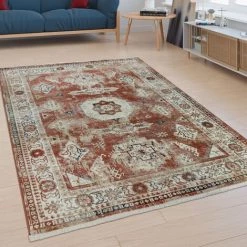 Paco Home Tapis Poils Ras Salon Bordure Design Oriental Aspect Usé Moderne Bordure Coloré 80x150 Cm