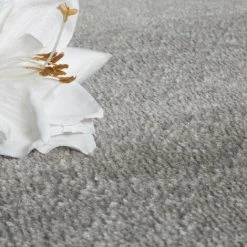 Paco Home Tapis De Créateur Contemporain à Lignes Et Carreaux En Gris Crème Noir 60x100 Cm 6 Paco Home Tapis De Créateur Contemporain à Lignes Et Carreaux En Gris Crème Noir 60x100 Cm -Tapis et paillasson Soldes 50625342 3