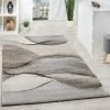 Paco Home Tapis Tissé Moderne Haute Qualité Moucheté Motif Vagues En Gris Beige Crème 80x150 Cm