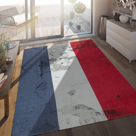 Paco Home Tapis Intérieur&Extérieur Drapeau Français 120x170 Cm 1 Paco Home Tapis Intérieur&Extérieur Drapeau Français 120x170 Cm