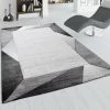 Paco Home Tapis De Salon, Tapis À Poils Ras Avec Bordure Et Effet 3D, Gris Et Beige 120x170 Cm