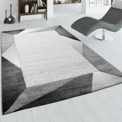 Paco Home Tapis De Salon, Tapis À Poils Ras Avec Bordure Et Effet 3D, Gris Et Beige 120x170 Cm