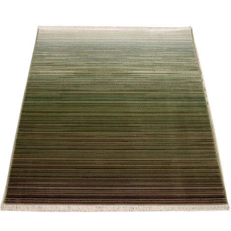 Paco Home Tapis De Créateur, Tapis À Poils Ras Pour Salon, Avec Dégradé De Couleurs, Vert 80x150 Cm 5 Paco Home Tapis De Créateur, Tapis À Poils Ras Pour Salon, Avec Dégradé De Couleurs, Vert 80x150 Cm – Image 5