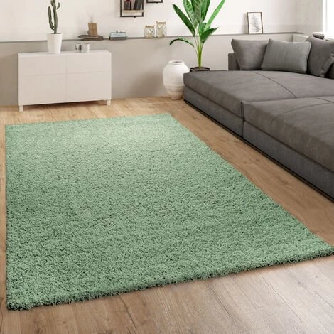 Paco Home Tapis Shaggy Salon Vert Poils Longs Moelleux Doux Robuste 60x100 Cm 1 Paco Home Tapis Shaggy Salon Vert Poils Longs Moelleux Doux Robuste 60x100 Cm