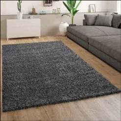 Paco Home Tapis Poils Longs Gris Anthracite Salon Shaggy Résistant Doux Robuste 70x140 Cm
