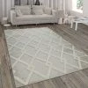 Paco Home Tapis Intérieur & Extérieur, Avec Poils Longs En Relief Et Motif Losanges, Beige 120x170 Cm