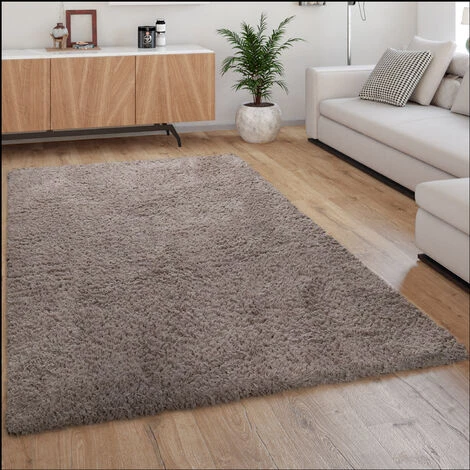 Paco Home Tapis Shaggy Tapis De Salon Poil Long Doux Moderne Motif Monochrome Beige 140x200 Cm 1 Paco Home Tapis Shaggy Tapis De Salon Poil Long Doux Moderne Motif Monochrome Beige 140x200 Cm