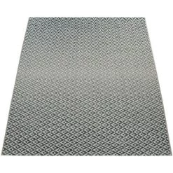 Paco Home Tapis Intérieur & Extérieur Tissage À Plat Géométrique Scandinave Design Losanges En Gris 120x170 Cm 9 Paco Home Tapis Intérieur & Extérieur Tissage À Plat Géométrique Scandinave Design Losanges En Gris 120x170 Cm -Tapis et paillasson Soldes 50627944 5