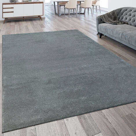 Paco Home Tapis De Salon À Poils Ras Lavable Résistant Monochrome Chiné Argenté 60x110 Cm 1 Paco Home Tapis De Salon À Poils Ras Lavable Résistant Monochrome Chiné Argenté 60x110 Cm