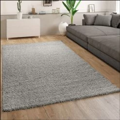 Paco Home Tapis Poils Longs Gris Salon Shaggy Moelleux Doux Résistant 70x140 Cm