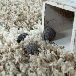 Paco Home Tapis Shaggy Beige Salon Poils Longs Crème Doux Motif Scandinave À Franges 160x220 Cm -Tapis et paillasson Soldes 50628455 4