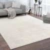 Paco Home Tapis, Tapis À Poils Ras Doux Pour Salon, Doux, Lavable, Beige 60x100 Cm