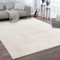 Paco Home Tapis, Tapis À Poils Ras Doux Pour Salon, Doux, Lavable, Beige 60x100 Cm