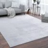Paco Home Tapis, Tapis À Poils Ras Doux Pour Salon, Très Moelleux, Lavable, Gris 60x100 Cm