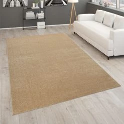 Paco Home Tapis Pour Salon Uni Poils Ras Sobre Et Moderne Doré Beige 80x150 Cm