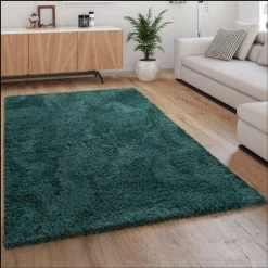 Paco Home Tapis Shaggy Tapis De Salon Poil Long Doux Moderne Motif Monochrome Vert 60x100 Cm