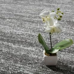 Paco Home Tapis Design Poils Courts Fil Brillant Abstrait Ornements Gris Anthracite Blanc 70x140 Cm -Tapis et paillasson Soldes 50671589 4