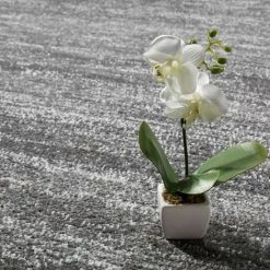 Paco Home Tapis Moderne Salon Poils Ras Confortable Prix Avantageux Chiné En Gris Crème 160x220 Cm -Tapis et paillasson Soldes 50671753 4