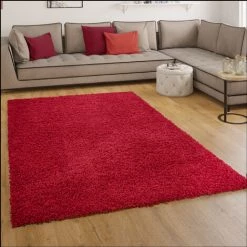 Paco Home Tapis Shaggy Longues Mèches En Rouge 40x60 Cm