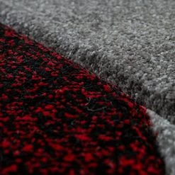 Paco Home Tapis De Salon Moderne À Poils Ras Effet 3D Bordure Géométrique Rouge Gris 80x150 Cm 7 Paco Home Tapis De Salon Moderne À Poils Ras Effet 3D Bordure Géométrique Rouge Gris 80x150 Cm -Tapis et paillasson Soldes 50725797 3