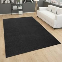 Paco Home Tapis De Salon Poils Ras Chambre À Coucher Motif Monochrome Moderne Noir Gris 60x100 Cm
