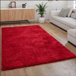 Paco Home Tapis Shaggy Tapis De Salon Poil Long Doux Moderne Motif Monochrome Rouge 80x150 Cm