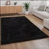 Paco Home Tapis Shaggy Tapis De Salon Poil Long Doux Moderne Motif Monochrome Noir 60x100 Cm