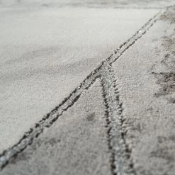 Paco Home Tapis à Poils Courts Gris Argenté Doux Séjour Optique Marbre-Motif 3D Bordure Ø 120 Cm Rond -Tapis et paillasson Soldes 54158799 3