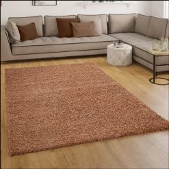 Paco Home Tapis Shaggy Longues Mèches En Terre Cuite 40x60 Cm