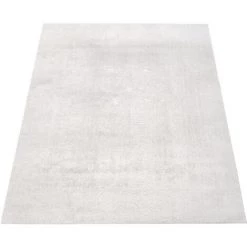 Paco Home Tapis De Salon Poils Ras Lavable Monochrome Style Moderne Argent 60x100 Cm 9 Paco Home Tapis De Salon Poils Ras Lavable Monochrome Style Moderne Argent 60x100 Cm -Tapis et paillasson Soldes 57057953 5