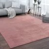 Paco Home Tapis De Salon Poils Ras Lavable Monochrome Style Moderne Doux Rose 80x150 Cm